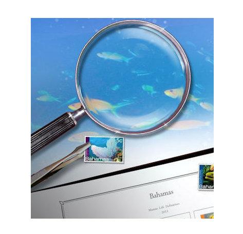 15% off all Magnifiers