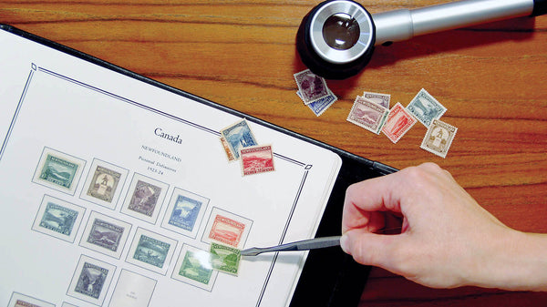 Choosing the Right Stamp Album for You