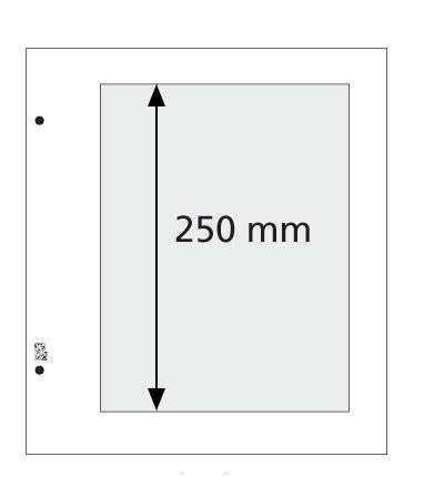 L1 One-Pocket Pages (pack of 10)