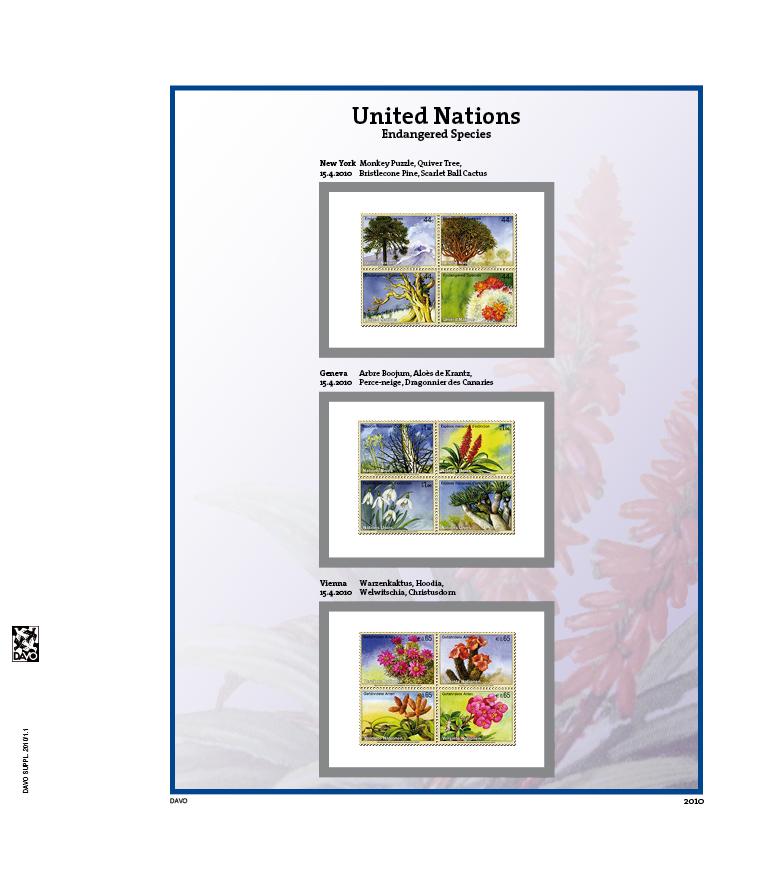 United Nations New York