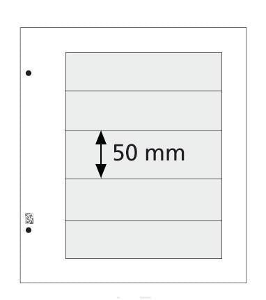 L5 Five-Pocket Pages (pack of 10)